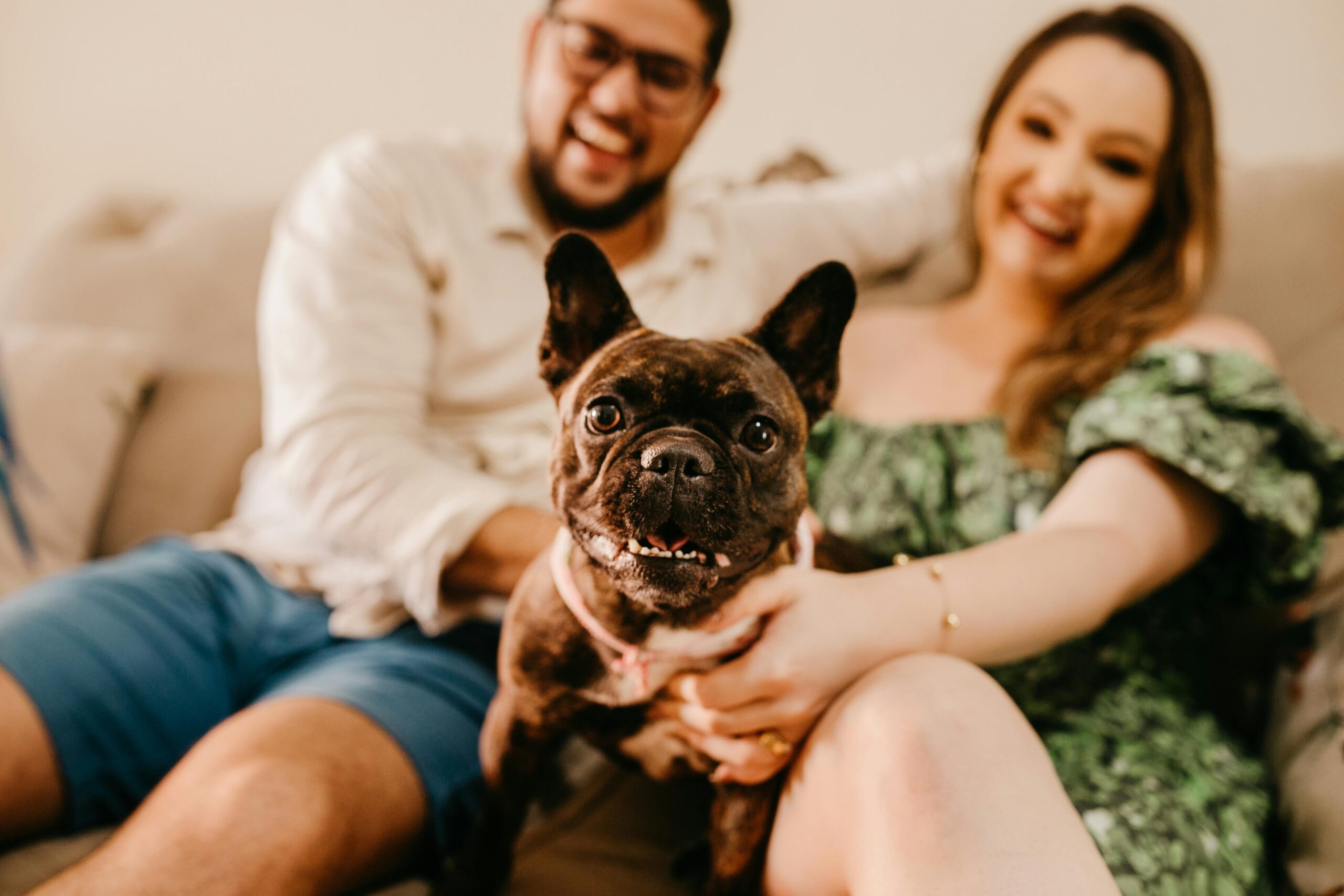Casal com Bulldog Francês brindle no sofá de casa, cão com expressão atenta e boca fechada