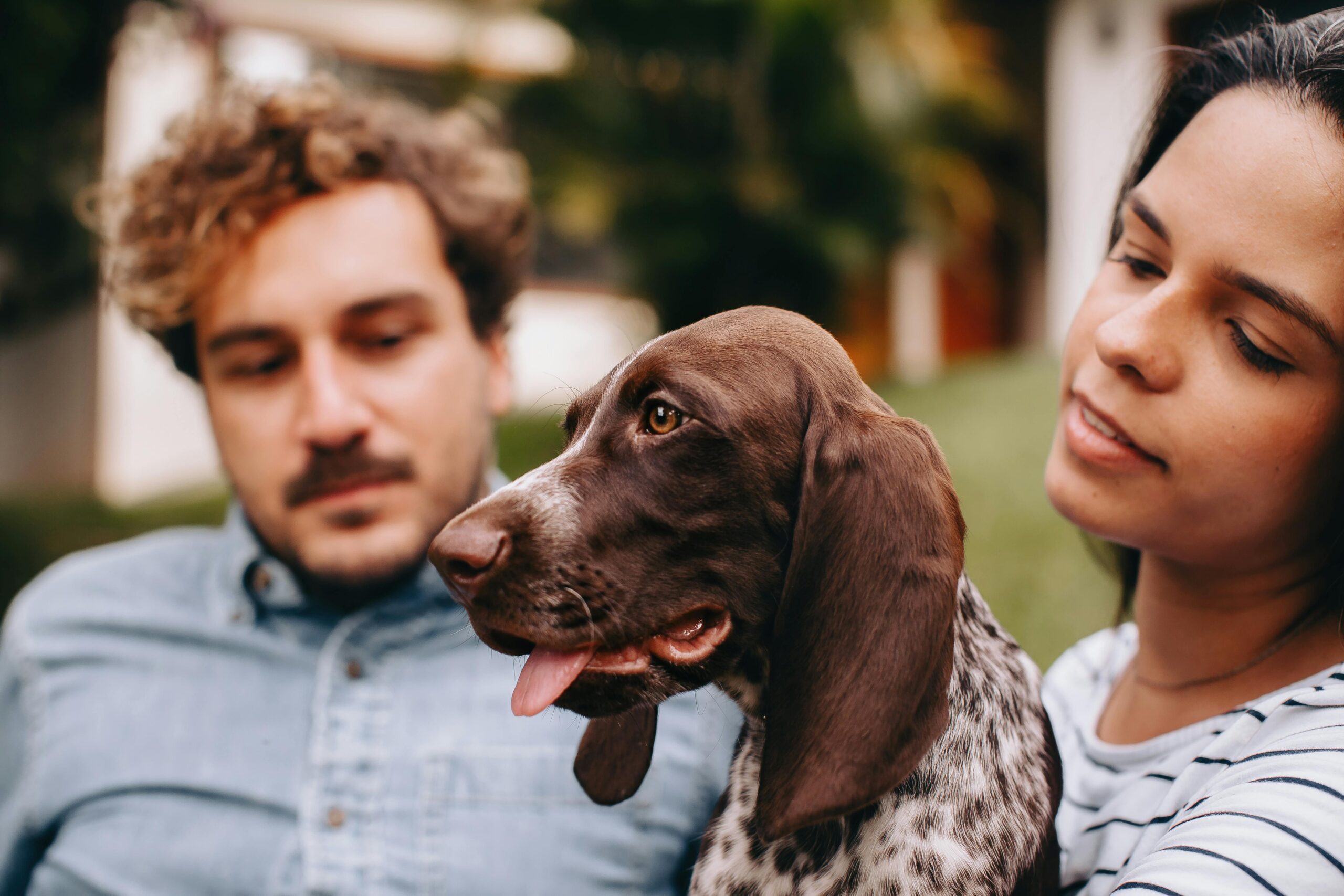 Casal com cachorro Braco Alemão filhote em jardim brasileiro