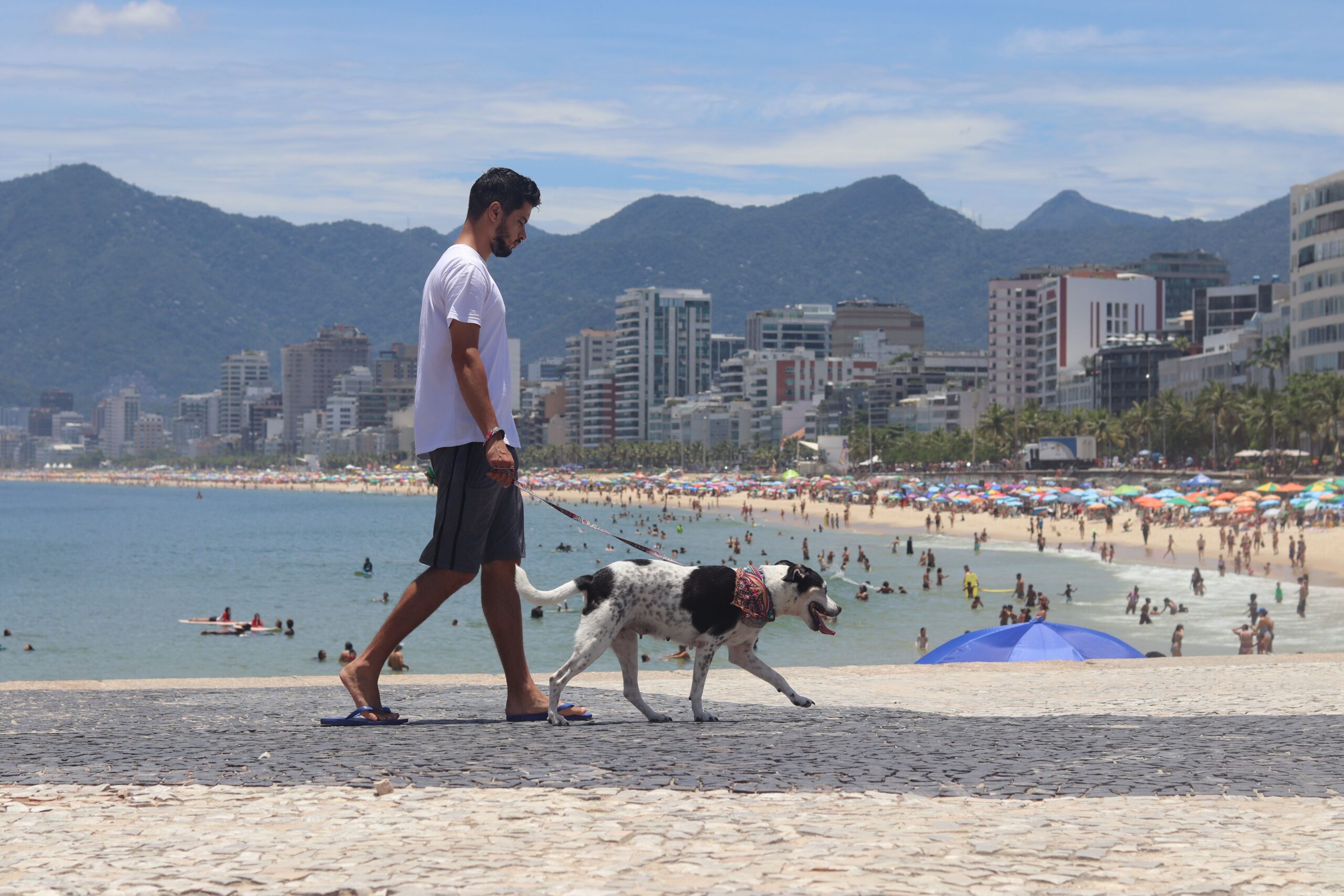 O Efeito Calçadão: como o calor, o ruído e a superlotação das cidades brasileiras alteram a neurobiologia do seu cachorro