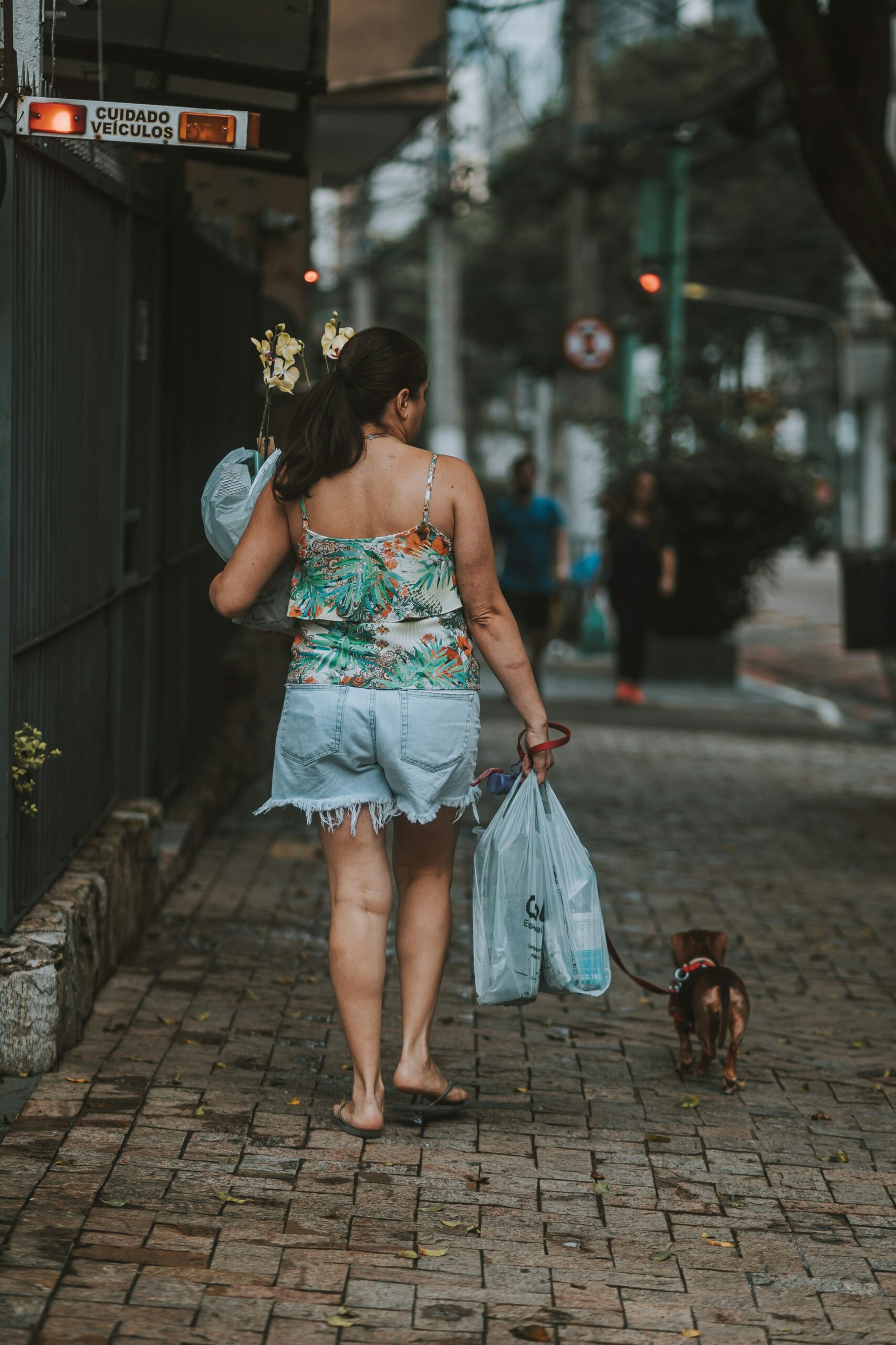 Mulher passeando com cachorro Dachshund na coleira em calçada brasileira carregando sacolas