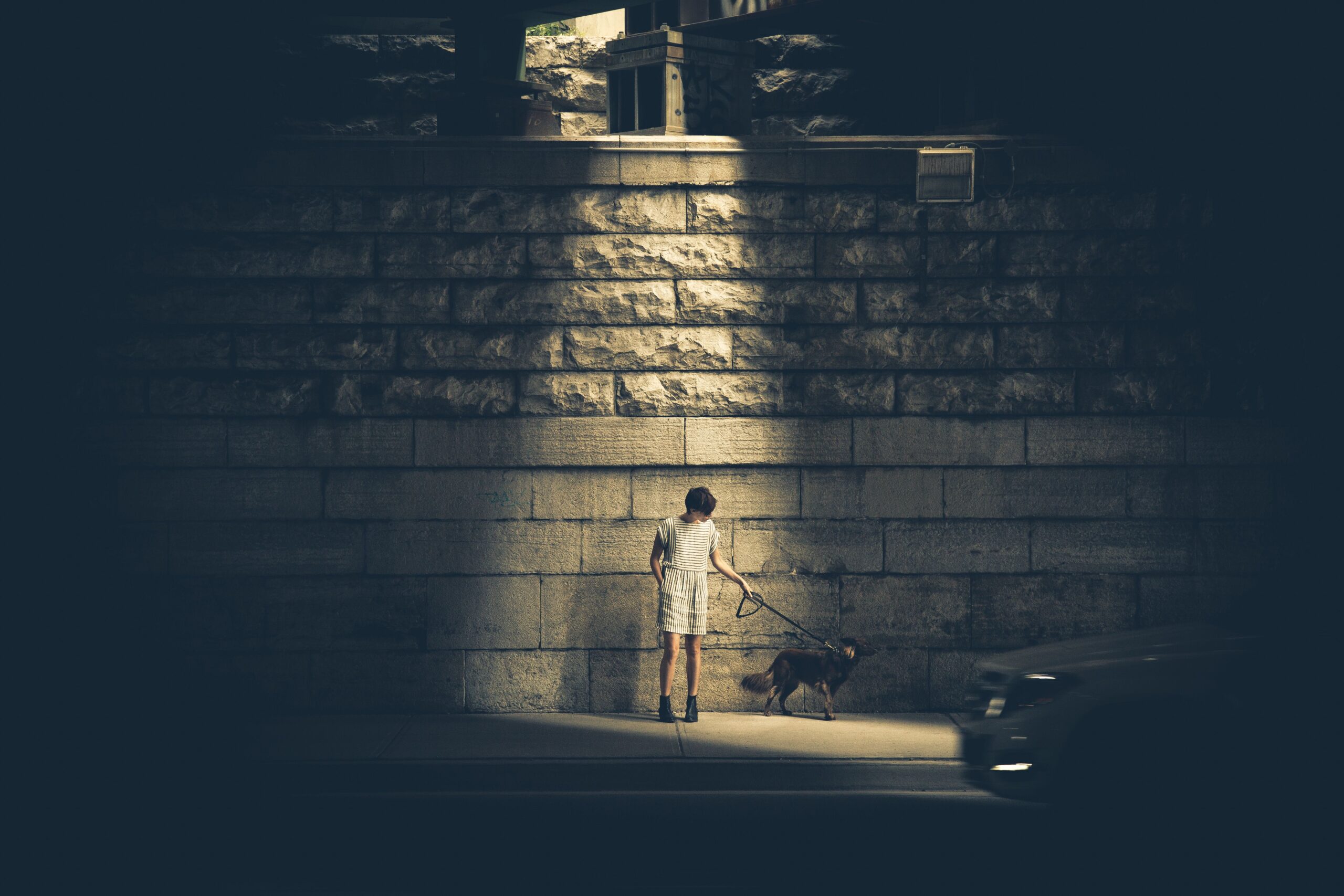 Dona passeando com cachorro em rua urbana à noite — horário de pico do mosquito-palha e risco de leishmaniose canina