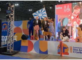 Américas e Caribe 2026: Boxer de Fortaleza é Best in Show — os resultados completos do maior evento canino das Américas