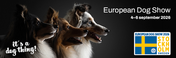 Euro Dog Show 2026 Estocolmo — banner oficial SKK Swedish Kennel Club