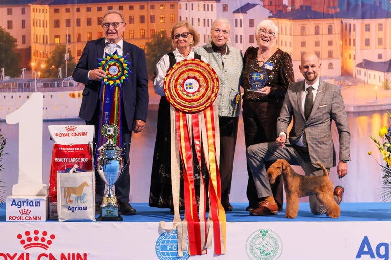Euro Dog Show 2026: Lakeland Terrier alemão vence Best in Show em Estocolmo — e as raças brasileiras marcam presença